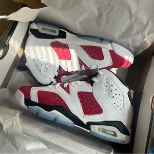 Air Jordan 6 Carmine Brand New In Original Box Size 5.5Y